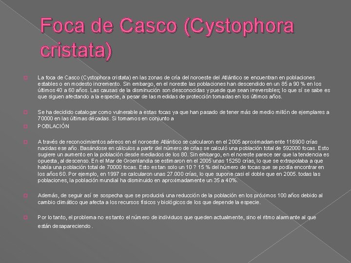 Foca de Casco (Cystophora cristata) � La foca de Casco (Cystophora cristata) en las Foca de Casco (Cystophora cristata) � La foca de Casco (Cystophora cristata) en las