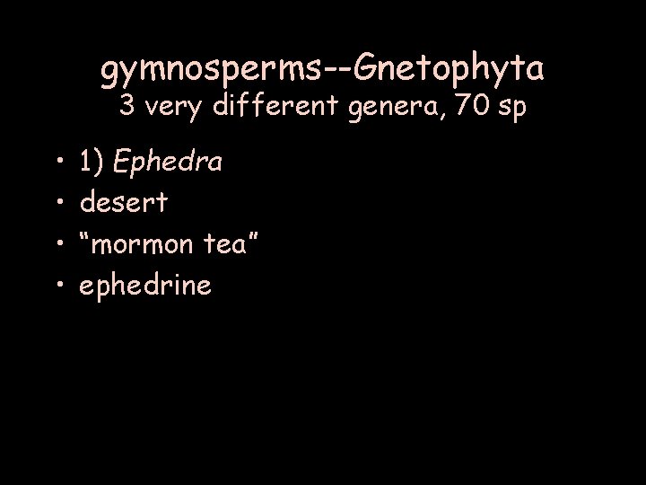 gymnosperms--Gnetophyta 3 very different genera, 70 sp • • 1) Ephedra desert “mormon tea”