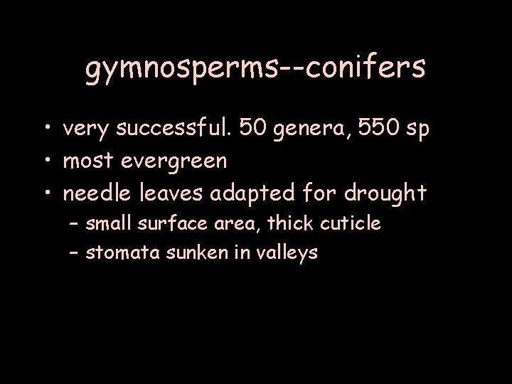 gymnosperms--conifers • very successful. 50 genera, 550 sp • most evergreen • needle leaves