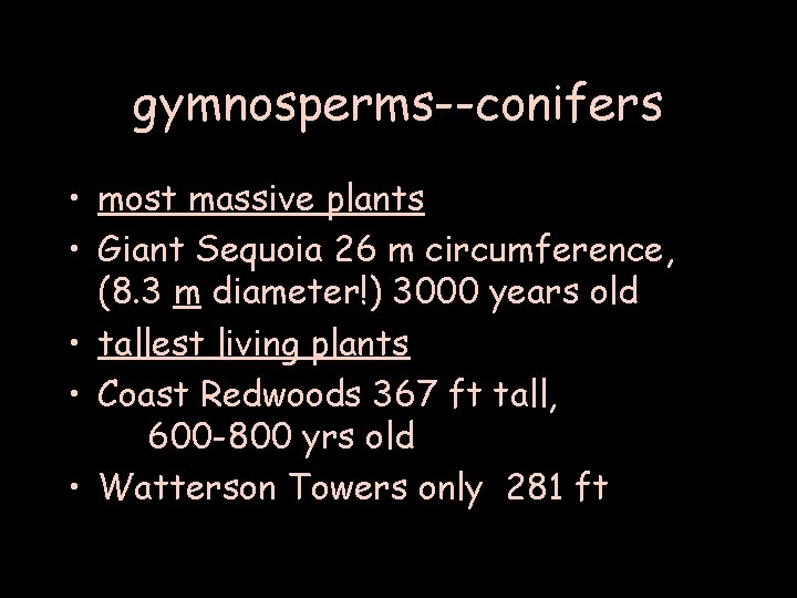 gymnosperms--conifers • most massive plants • Giant Sequoia 26 m circumference, (8. 3 m