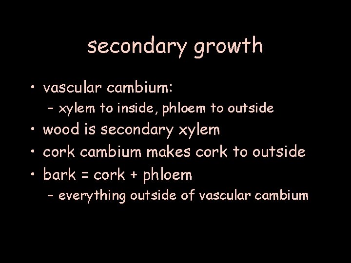 secondary growth • vascular cambium: – xylem to inside, phloem to outside • wood