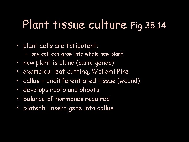 Plant tissue culture Fig 38. 14 • plant cells are totipotent: – any cell