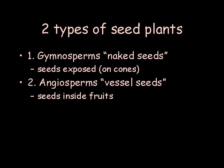 2 types of seed plants • 1. Gymnosperms “naked seeds” – seeds exposed (on
