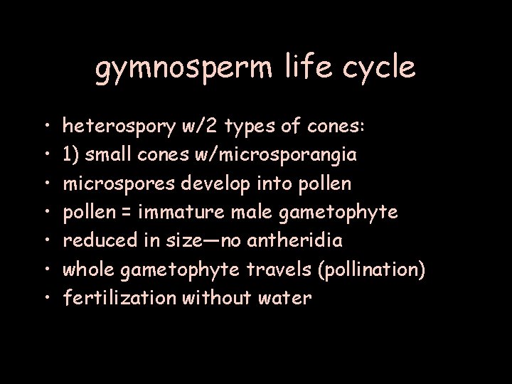 gymnosperm life cycle • • heterospory w/2 types of cones: 1) small cones w/microsporangia