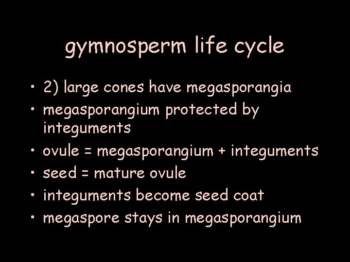 gymnosperm life cycle • 2) large cones have megasporangia • megasporangium protected by integuments