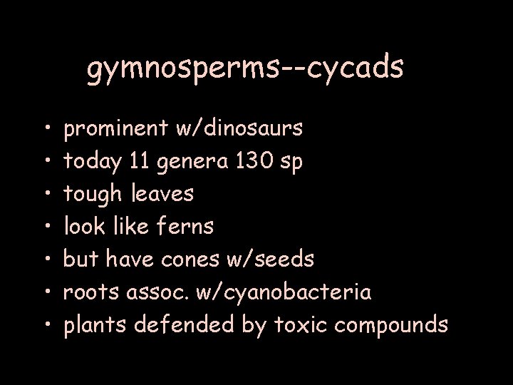 gymnosperms--cycads • • prominent w/dinosaurs today 11 genera 130 sp tough leaves look like