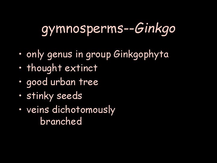 gymnosperms--Ginkgo • • • only genus in group Ginkgophyta thought extinct good urban tree