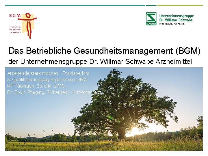 Das Betriebliche Gesundheitsmanagement (BGM) der Unternehmensgruppe Dr. Willmar Schwabe Arzneimittel Arbeitende stark machen -