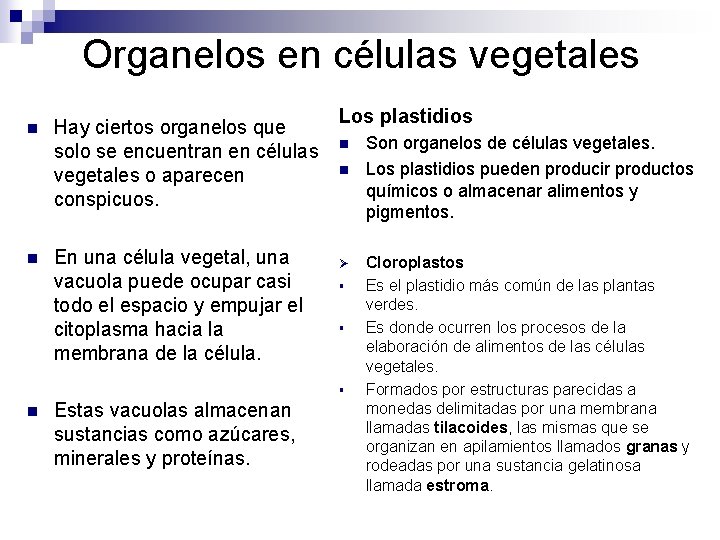 Organelos en células vegetales n n Hay ciertos organelos que solo se encuentran en Organelos en células vegetales n n Hay ciertos organelos que solo se encuentran en