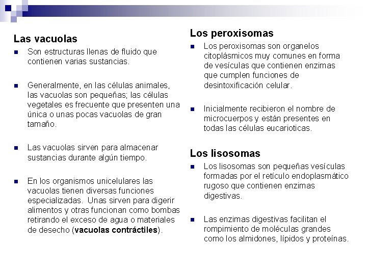Las vacuolas n Son estructuras llenas de fluido que contienen varias sustancias. n Generalmente, Las vacuolas n Son estructuras llenas de fluido que contienen varias sustancias. n Generalmente,