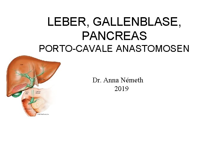 LEBER, GALLENBLASE, PANCREAS PORTO-CAVALE ANASTOMOSEN Dr. Anna Németh 2019 
