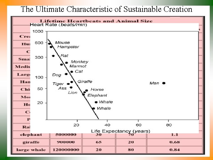 The Ultimate Characteristic of Sustainable Creation 