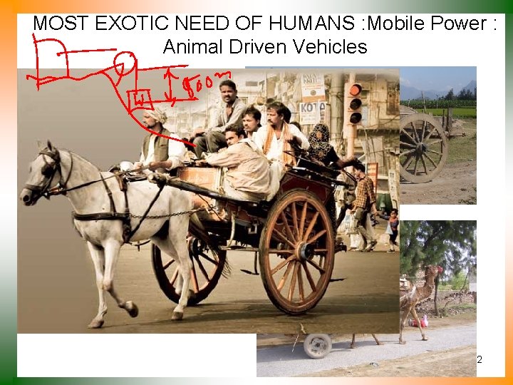 MOST EXOTIC NEED OF HUMANS : Mobile Power : Animal Driven Vehicles 2 