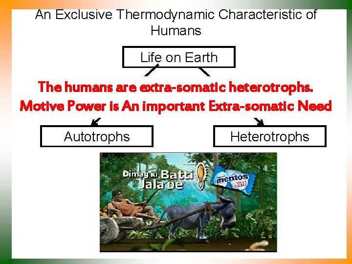 An Exclusive Thermodynamic Characteristic of Humans Life on Earth The humans are extra-somatic heterotrophs.