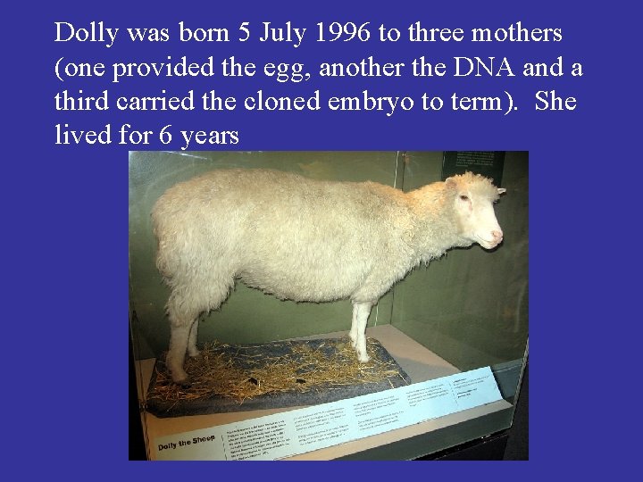 Dolly was born 5 July 1996 to three mothers (one provided the egg, another