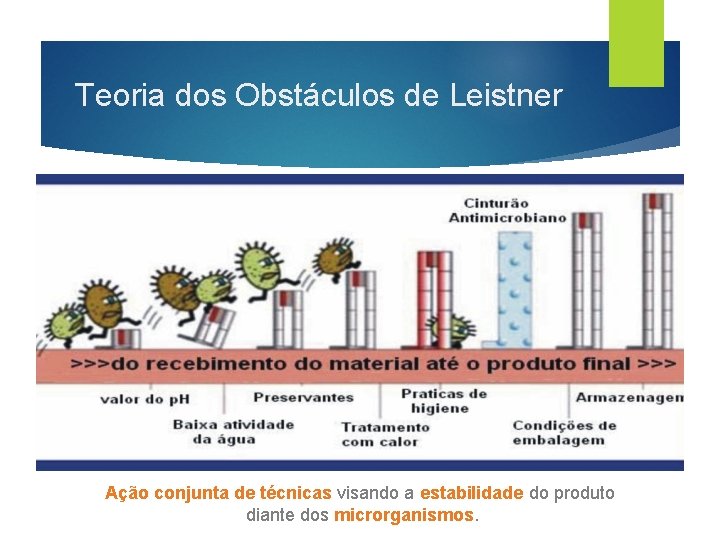 Teoria dos Obstáculos de Leistner Ação conjunta de técnicas visando a estabilidade do produto