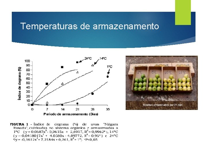 Temperaturas de armazenamento 