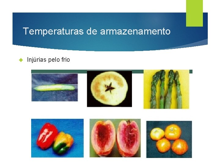 Temperaturas de armazenamento Injúrias pelo frio 