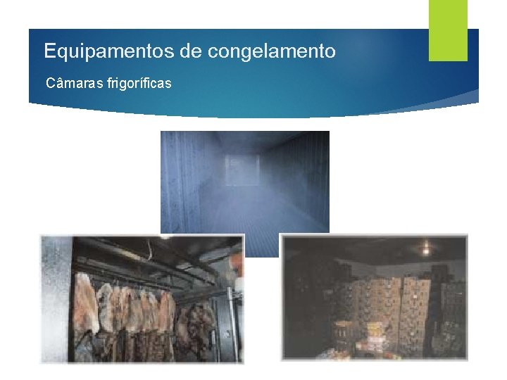 Equipamentos de congelamento Câmaras frigoríficas Camara frigorífica 