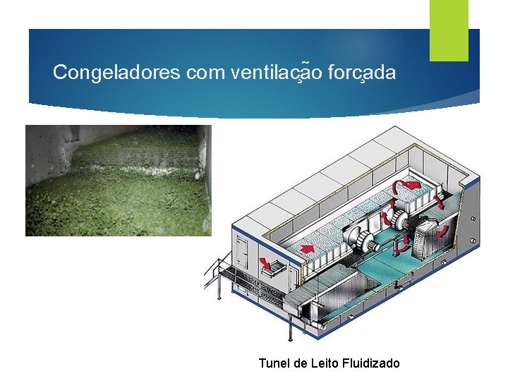 Congeladores com ventilac a o forc ada Tunel de Leito Fluidizado 