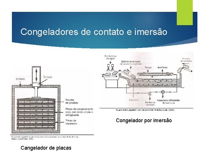 Congeladores de contato e imersão Congelador por imersão Cangelador de placas 
