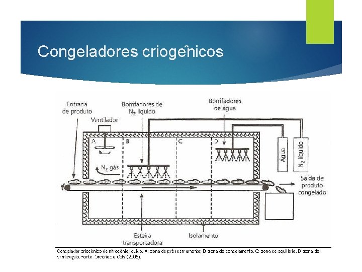 Congeladores crioge nicos 