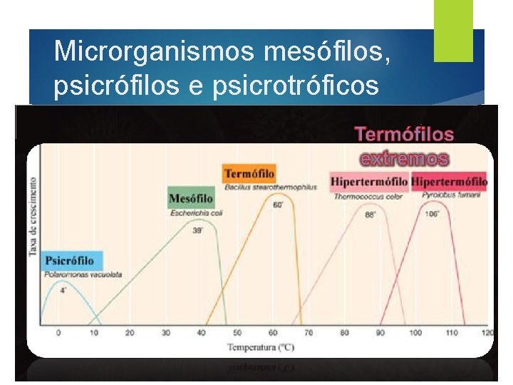 Microrganismos mesófilos, psicrófilos e psicrotróficos 
