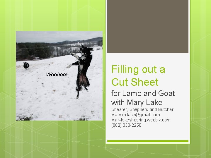 Woohoo! Filling out a Cut Sheet for Lamb and Goat with Mary Lake Shearer,