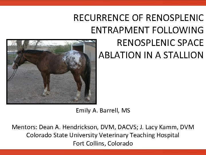 RECURRENCE OF RENOSPLENIC ENTRAPMENT FOLLOWING RENOSPLENIC SPACE ABLATION IN A STALLION Emily A. Barrell,
