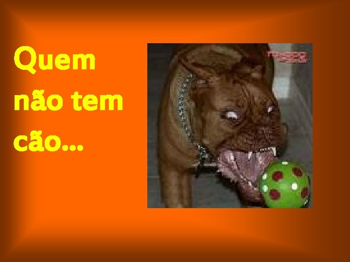 Quem não tem cão. . . 