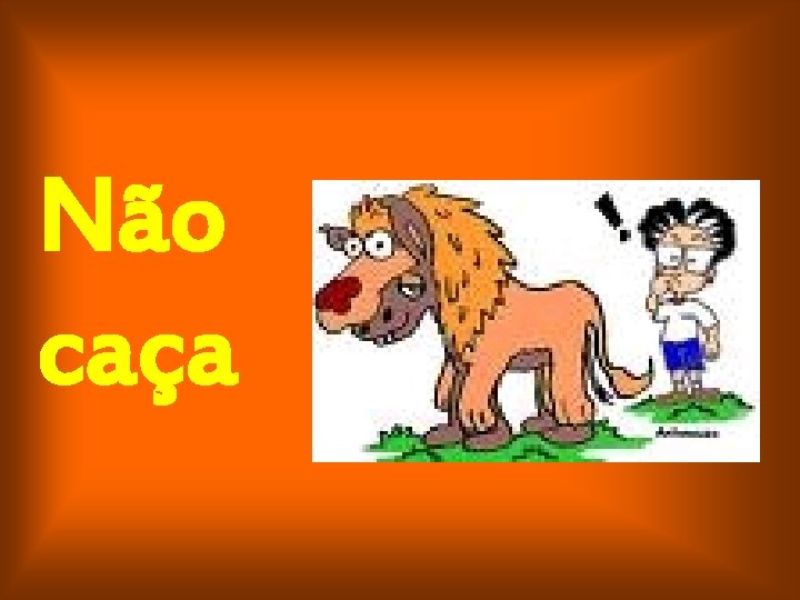 Não caça 