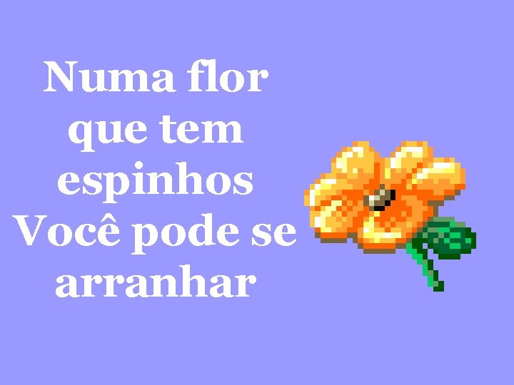 Numa flor que tem espinhos Você pode se arranhar 