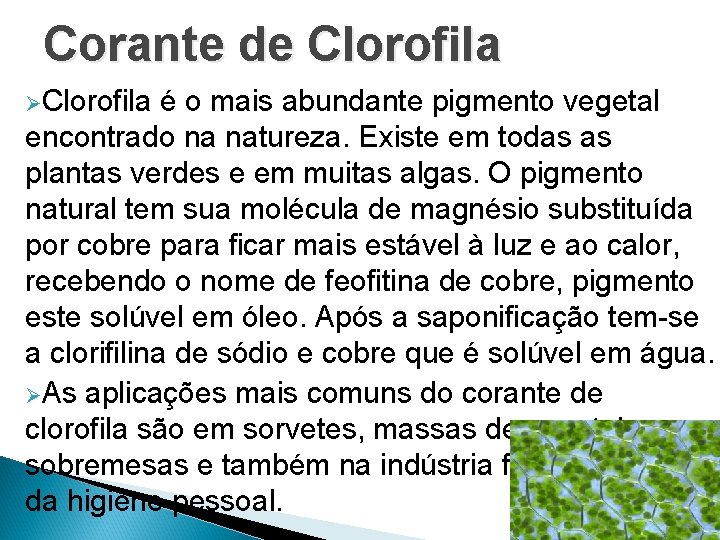 Corante de Clorofila ØClorofila é o mais abundante pigmento vegetal encontrado na natureza. Existe