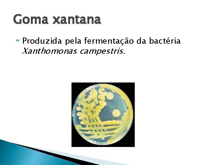 Goma xantana Produzida pela fermentação da bactéria Xanthomonas campestris. 