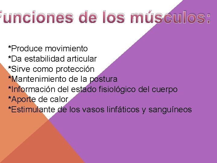 Funciones de los músculos: *Produce movimiento *Da estabilidad articular *Sirve como protección *Mantenimiento de