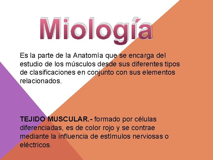 Miología Es la parte de la Anatomía que se encarga del estudio de los