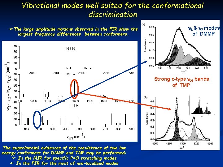 Vibrational modes well suited for the conformational discrimination FThe large amplitude motions observed in