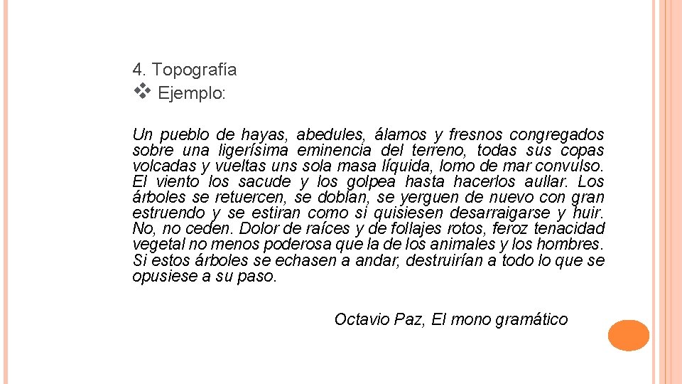 4. Topografía v Ejemplo: Un pueblo de hayas, abedules, álamos y fresnos congregados sobre