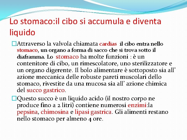 Lo stomaco: il cibo si accumula e diventa liquido �Attraverso la valvola chiamata cardias