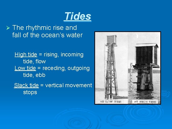 Tides Ø The rhythmic rise and fall of the ocean’s water High tide =