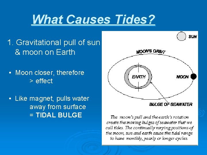 What Causes Tides? 1. Gravitational pull of sun & moon on Earth • Moon
