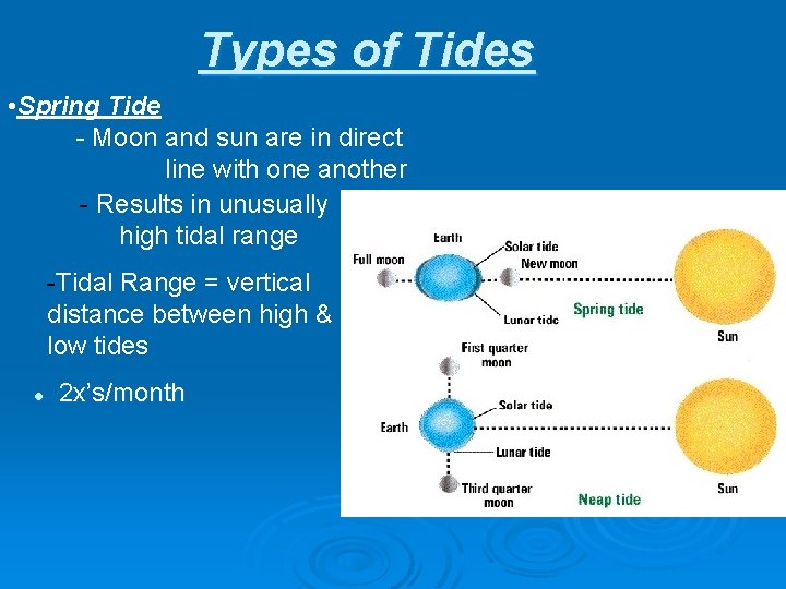 Types of Tides • Spring Tide - Moon and sun are in direct line
