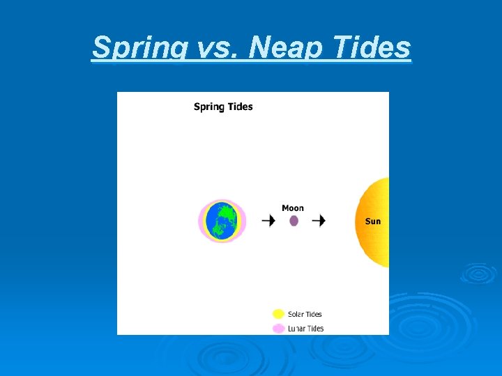Spring vs. Neap Tides 