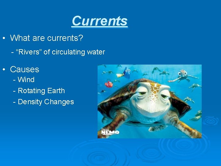 Currents • What are currents? - “Rivers” of circulating water • Causes - Wind
