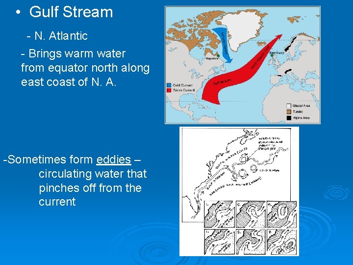  • Gulf Stream - N. Atlantic - Brings warm water from equator north