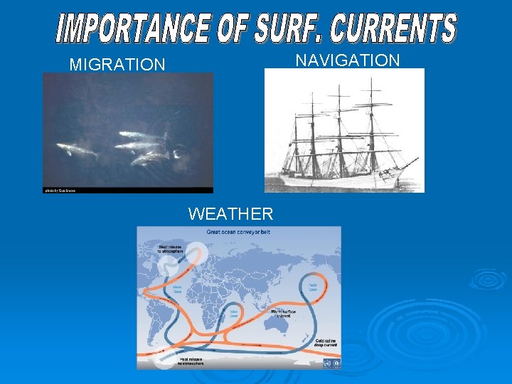 NAVIGATION MIGRATION WEATHER 