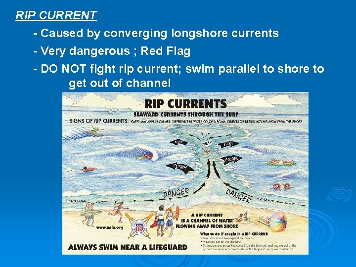 RIP CURRENT - Caused by converging longshore currents - Very dangerous ; Red Flag