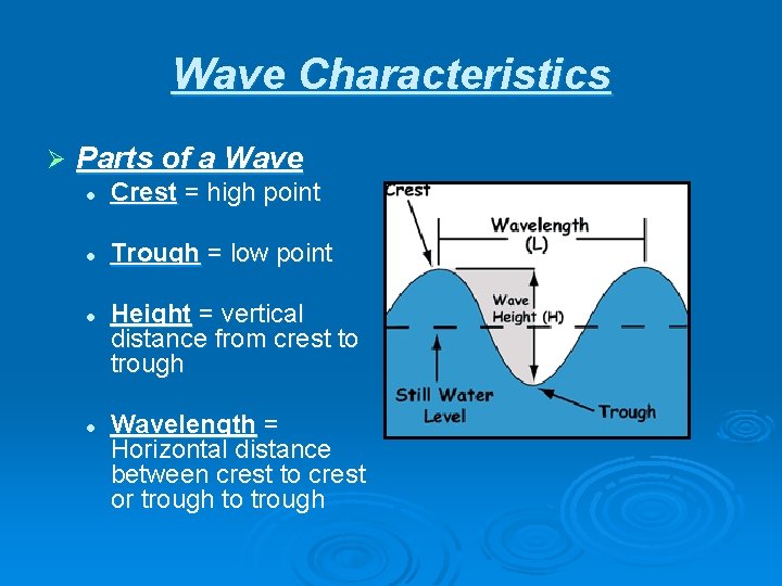 Wave Characteristics Ø Parts of a Wave l Crest = high point l Trough