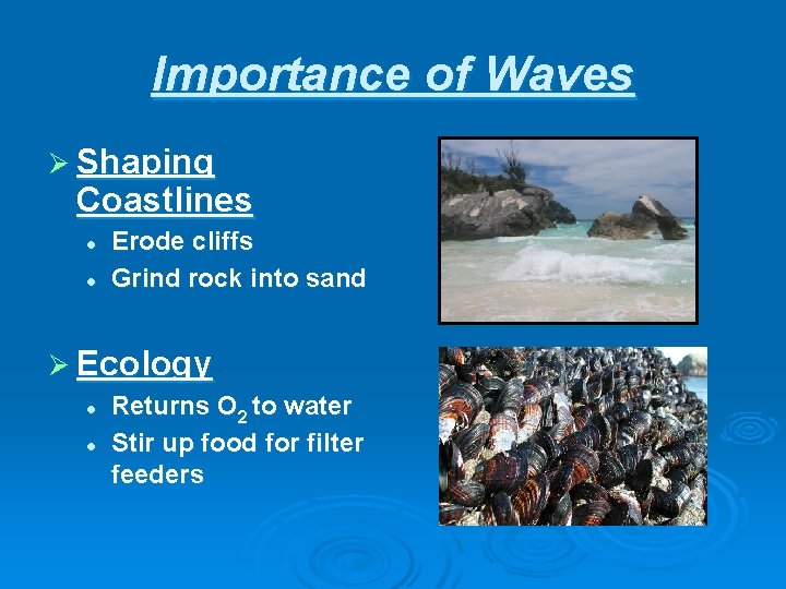 Importance of Waves Ø Shaping Coastlines l l Erode cliffs Grind rock into sand