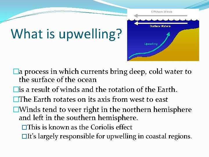 What is upwelling? �a process in which currents bring deep, cold water to the